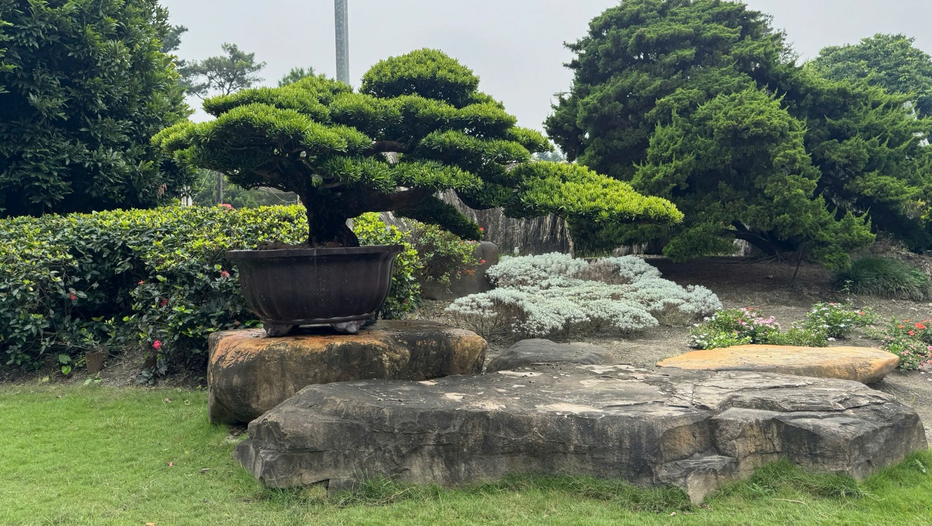 Đoàn Sinh vật cảnh Việt Nam tham dự Triển lãm Bonsai WBFF 2025 tại Đài Loan (Trung Quốc)