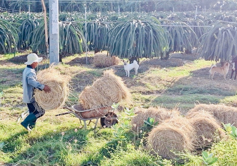 Tin khuyến nông: Kỹ thuật xanh, nông nghiệp sạch – Bước chuyển mình của nông thôn Việt Nam