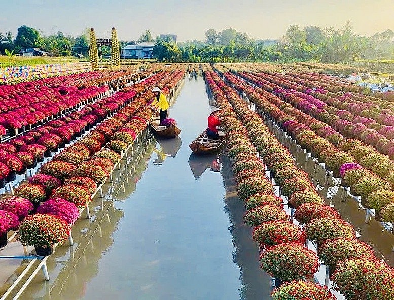Hoa kiểng Đồng Tháp – Từ ngành hàng chủ lực đến thương hiệu văn hóa
