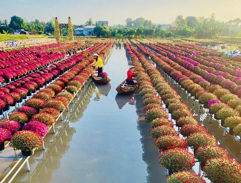 Hoa kiểng Đồng Tháp – Từ ngành hàng chủ lực đến thương hiệu văn hóa