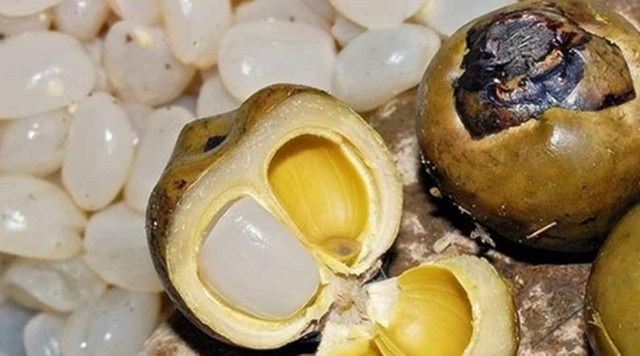Siêu thực phẩm mọc dại ở Việt Nam khiến người nước ngoài chi tiền triệu để mua