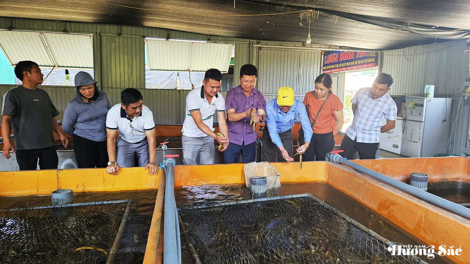 Hà Tĩnh: Nuôi lươn không bùn – Hướng phát triển kinh tế nông hộ bền vững