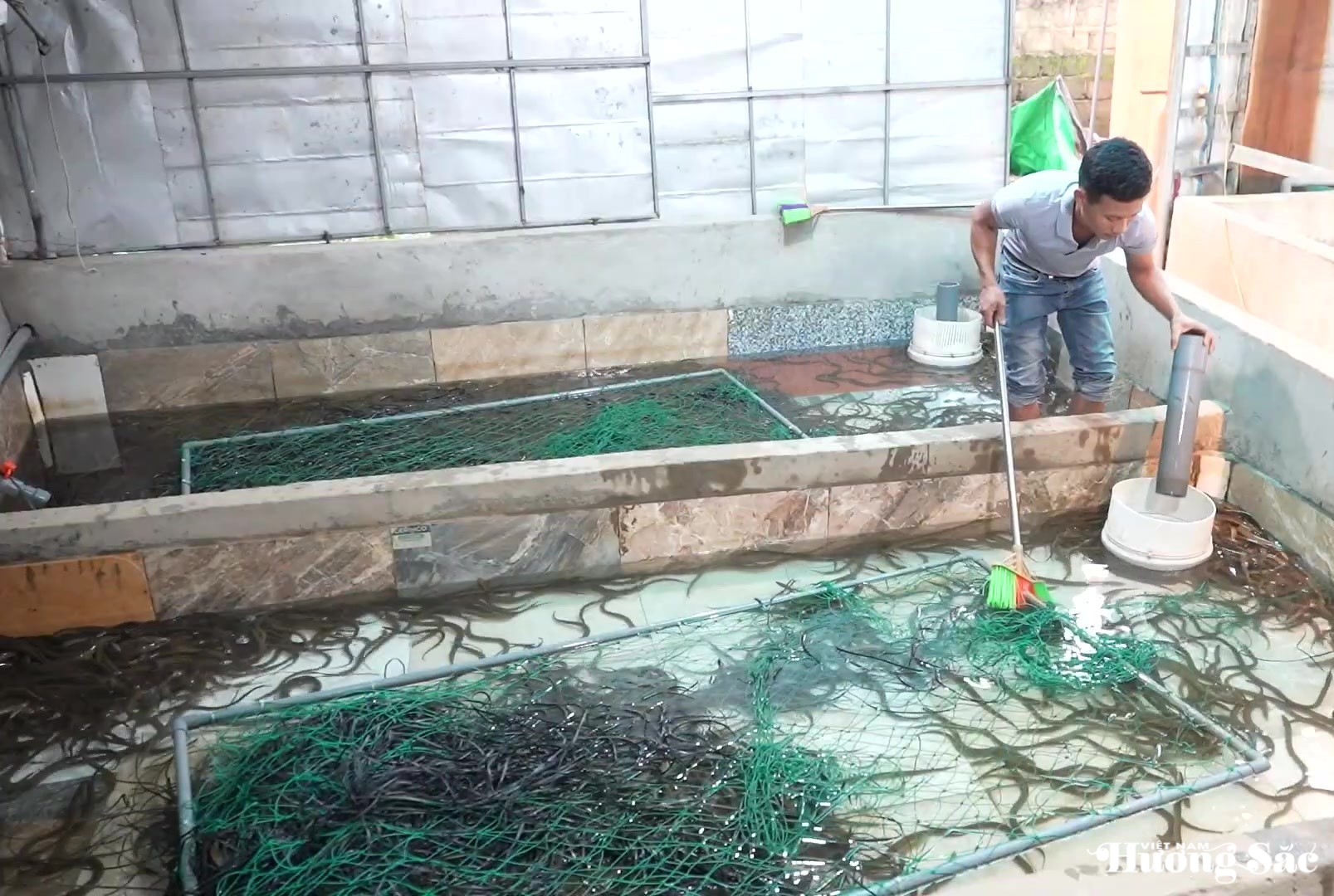 Hà Tĩnh: Nuôi lươn không bùn – Hướng phát triển kinh tế nông hộ bền vững
