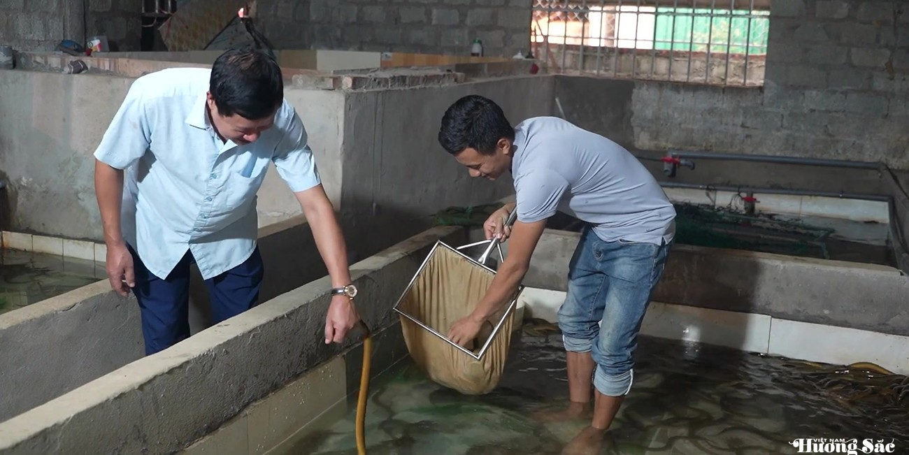 Hà Tĩnh: Nuôi lươn không bùn – Hướng phát triển kinh tế nông hộ bền vững