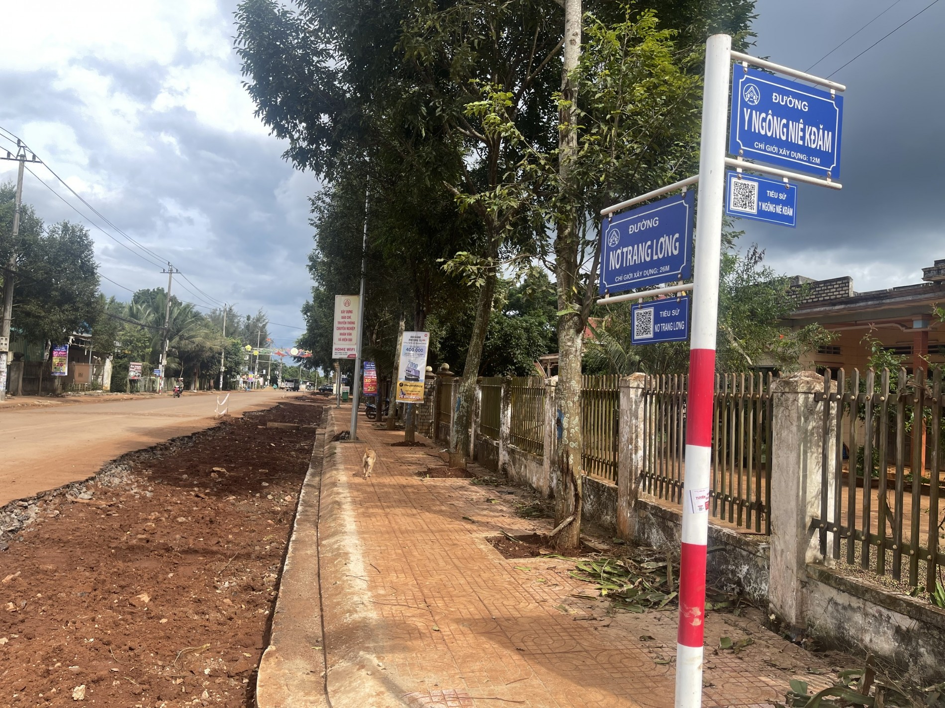 Những hàng cây mới trồng lộn xộn, không theo hàng lối