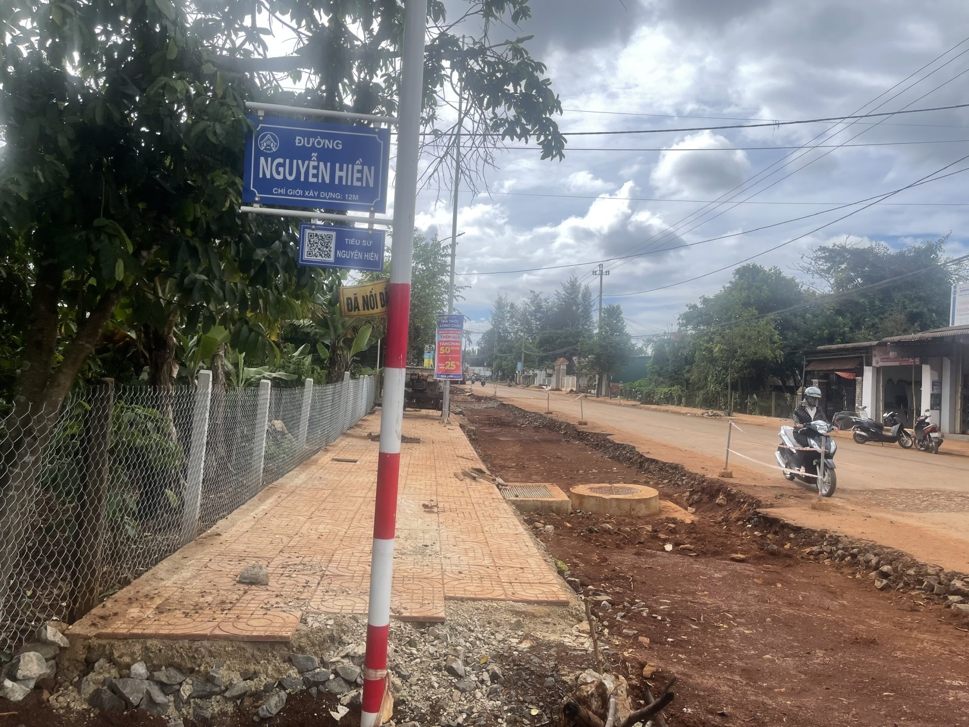 Những hàng cây mới trồng lộn xộn, không theo hàng lối