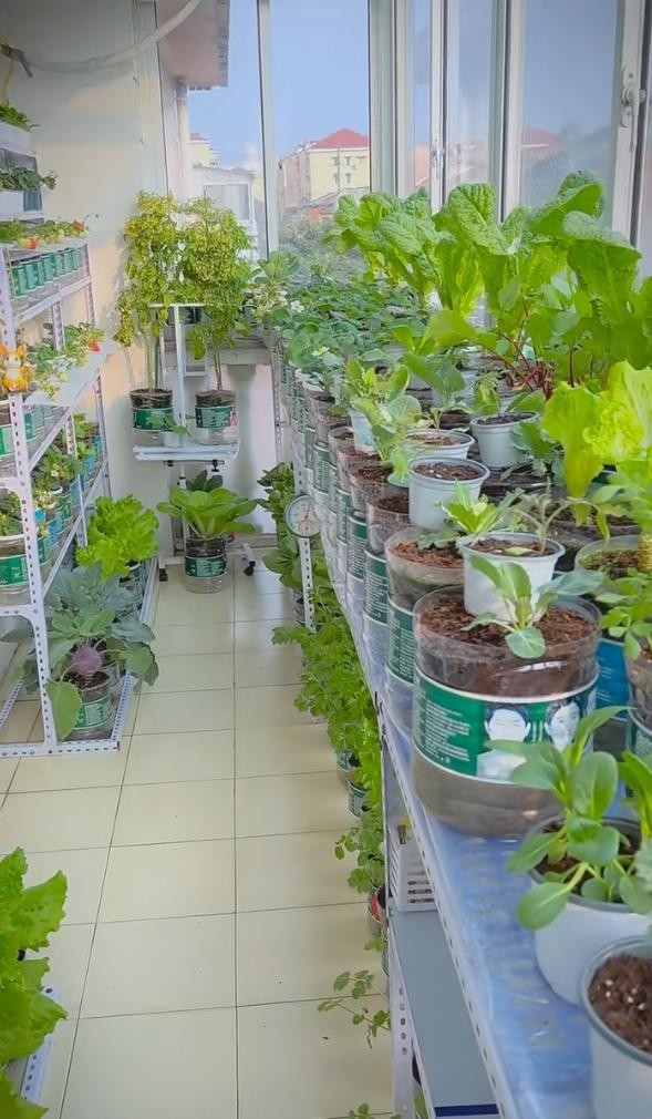 Ban công 1m2 biến thành vườn rau và hoa mini: Mẹo tận dụng không gian cực đỉnh