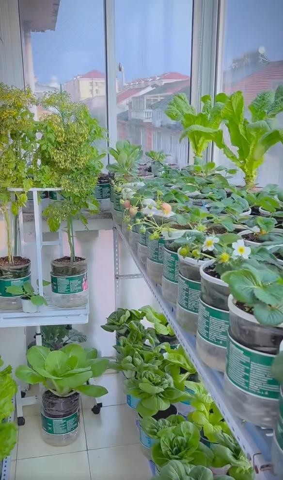 Ban công 1m2 biến thành vườn rau và hoa mini: Mẹo tận dụng không gian cực đỉnh
