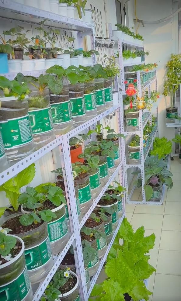 Ban công 1m2 biến thành vườn rau và hoa mini: Mẹo tận dụng không gian cực đỉnh