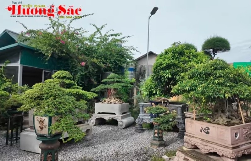 Giao lưu với Hợp tác xã Hoa - Cây cảnh Nghệ thuật Thăng Long - Hà Nội