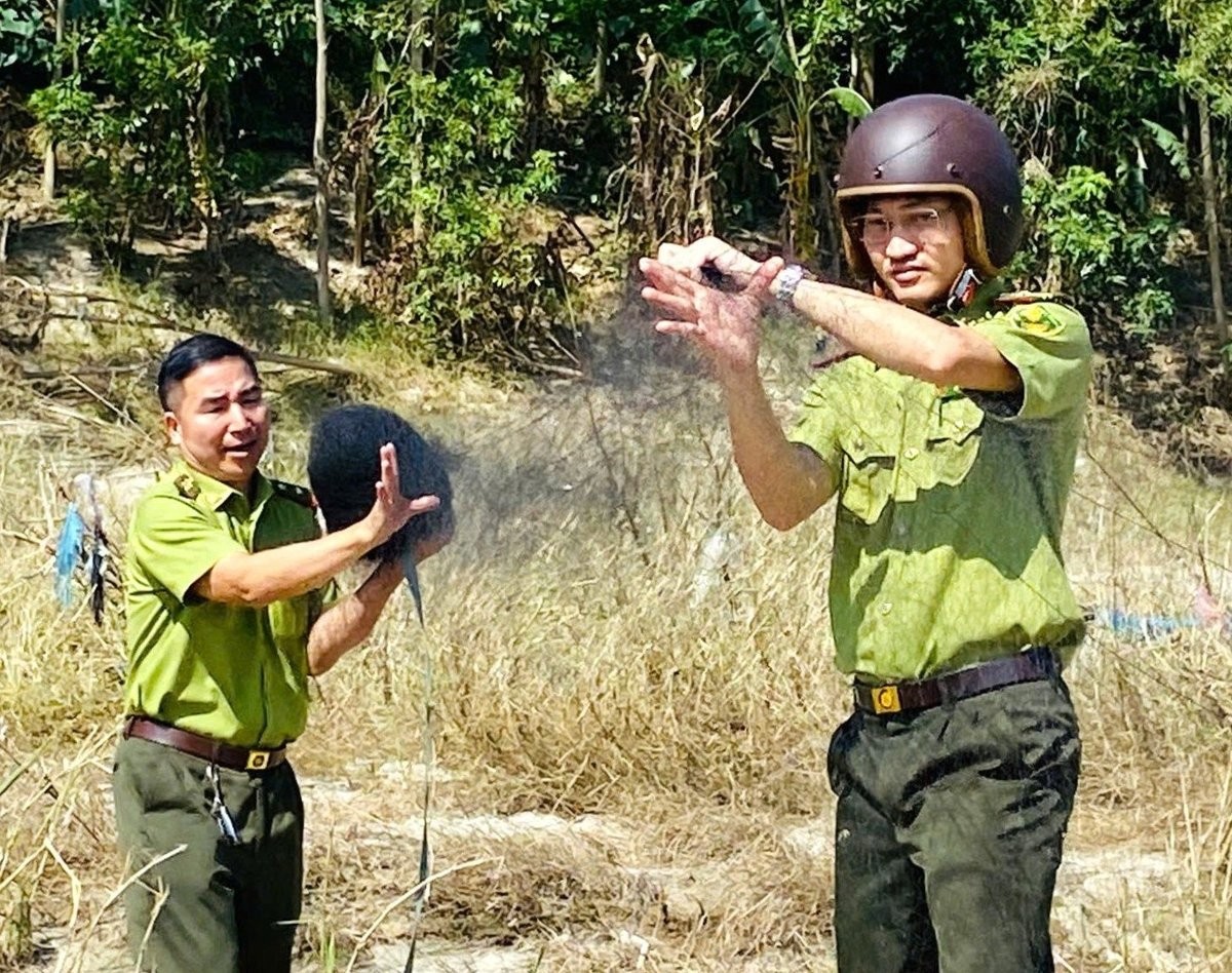 Kiểm lâm Tuyên Quang quyết liệt dẹp nạn bẫy chim trời
