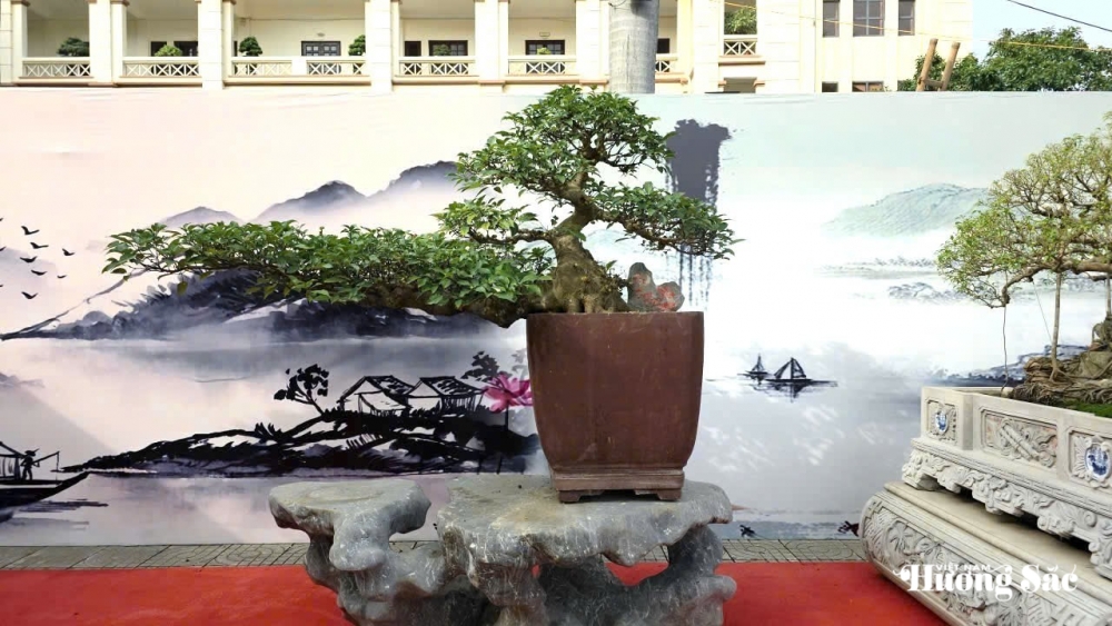 Triển lãm cây cảnh nghệ thuật cụm Hà Nam: Hội tụ tinh hoa, lan tỏa đam mê Triển lãm cây cảnh nghệ thuật cụm Hà Nam: Hội tụ tinh hoa, lan tỏa đam mê