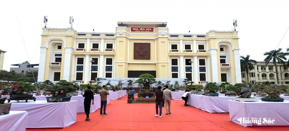 Triển lãm cây cảnh nghệ thuật cụm Hà Nam: Hội tụ tinh hoa, lan tỏa đam mê Triển lãm cây cảnh nghệ thuật cụm Hà Nam: Hội tụ tinh hoa, lan tỏa đam mê