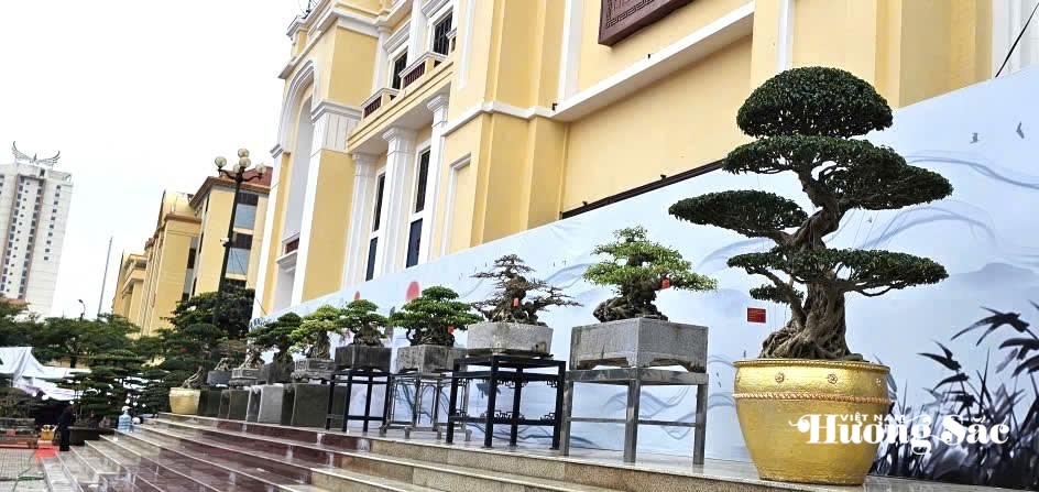 Triển lãm cây cảnh nghệ thuật cụm Hà Nam: Hội tụ tinh hoa, lan tỏa đam mê Triển lãm cây cảnh nghệ thuật cụm Hà Nam: Hội tụ tinh hoa, lan tỏa đam mê