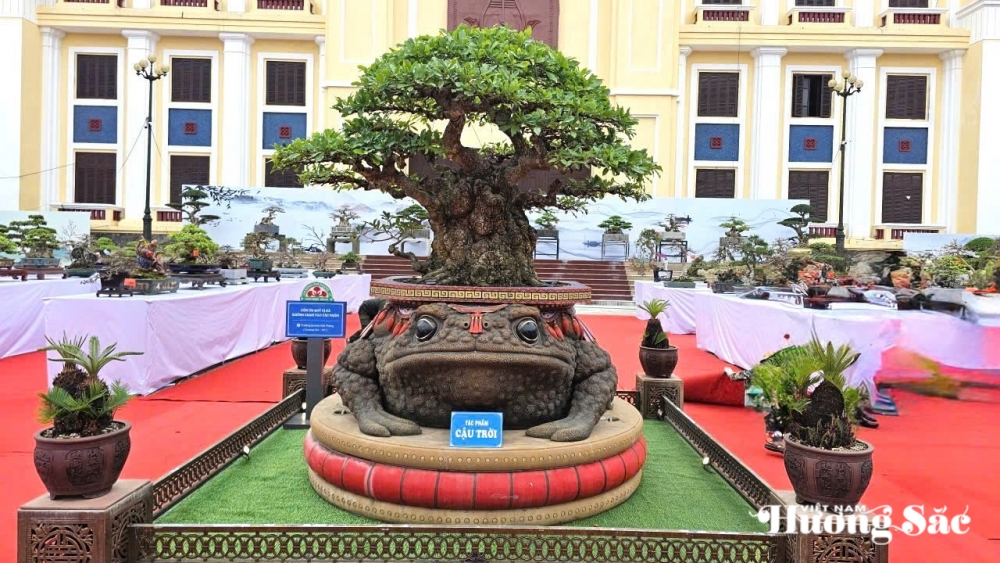Triển lãm cây cảnh nghệ thuật cụm Hà Nam: Hội tụ tinh hoa, lan tỏa đam mê Triển lãm cây cảnh nghệ thuật cụm Hà Nam: Hội tụ tinh hoa, lan tỏa đam mê