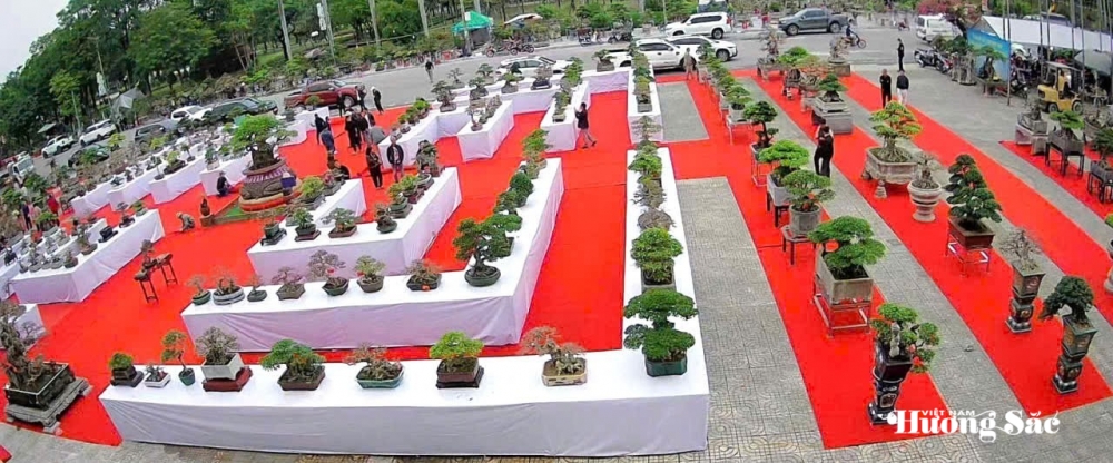 Triển lãm cây cảnh nghệ thuật cụm Hà Nam: Hội tụ tinh hoa, lan tỏa đam mê Triển lãm cây cảnh nghệ thuật cụm Hà Nam: Hội tụ tinh hoa, lan tỏa đam mê