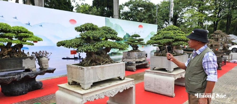 Triển lãm cây cảnh nghệ thuật cụm Hà Nam: Hội tụ tinh hoa, lan tỏa đam mê Triển lãm cây cảnh nghệ thuật cụm Hà Nam: Hội tụ tinh hoa, lan tỏa đam mê