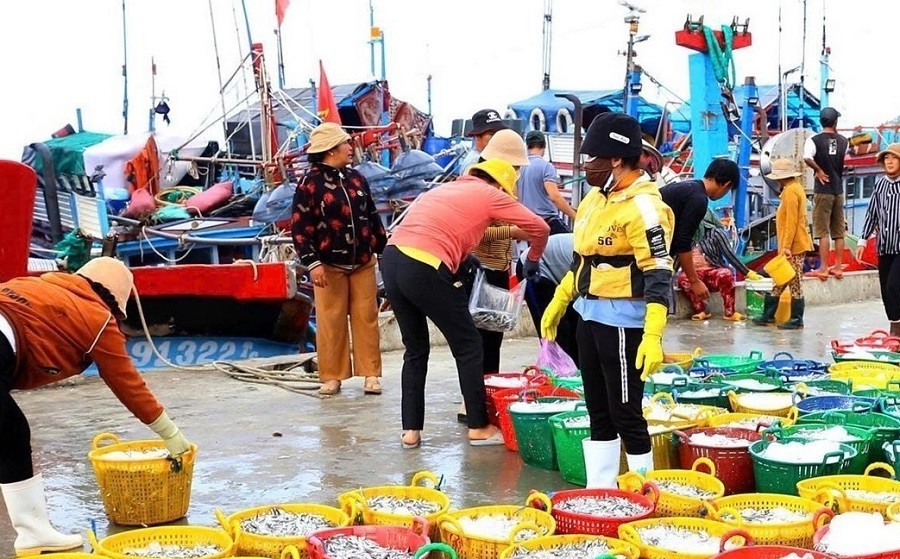 Giữ nghề làm mắm nơi làng biển Cà Ná, Khánh Hòa Giữ nghề làm mắm nơi làng biển Cà Ná, Khánh Hòa