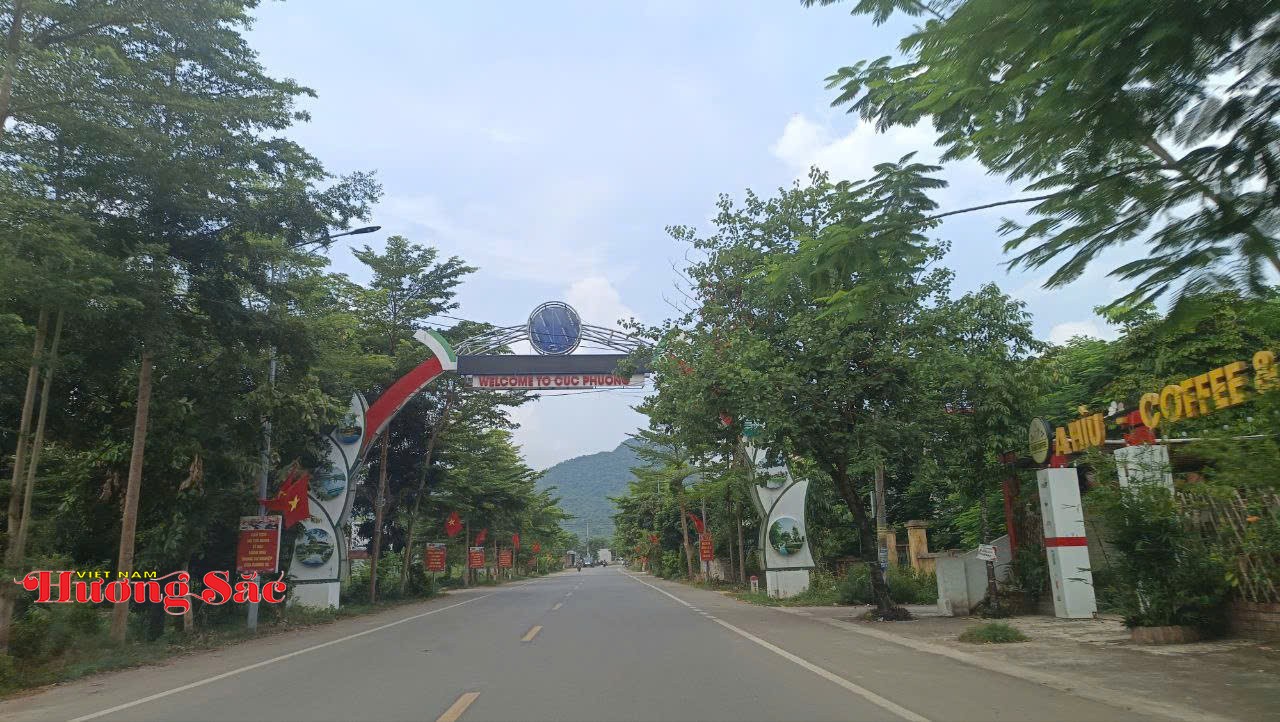 Nghiên cứu khai thác và phát triển nguồn gen Gà lôi trắng thành công tại Nho Quan Nghiên cứu khai thác và phát triển nguồn gen Gà lôi trắng thành công tại Nho Quan
