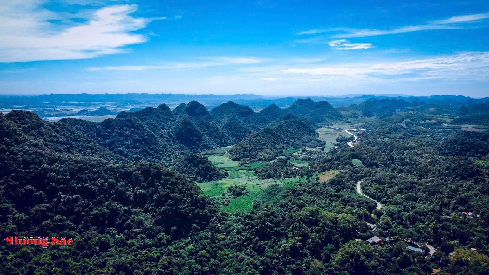 Nghiên cứu khai thác và phát triển nguồn gen Gà lôi trắng thành công tại Nho Quan Nghiên cứu khai thác và phát triển nguồn gen Gà lôi trắng thành công tại Nho Quan