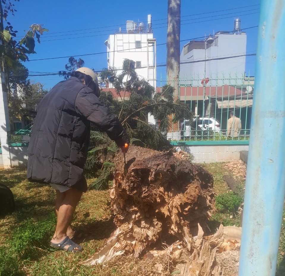 Cần chiến lược dài hơi cho “lá phổi xanh” Buôn Ma Thuột Cần chiến lược dài hơi cho “lá phổi xanh” Buôn Ma Thuột