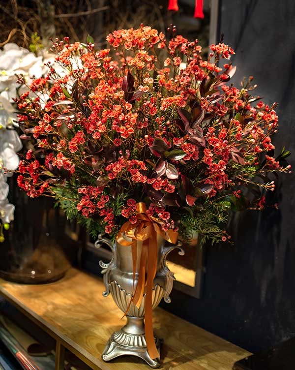 Hoa lạ khoe sắc dịp Tết: Tuyết mai, đào đông đỏ, đỗ quyên ngủ đông hút khách Hoa lạ khoe sắc dịp Tết: Tuyết mai, đào đông đỏ, đỗ quyên ngủ đông hút khách