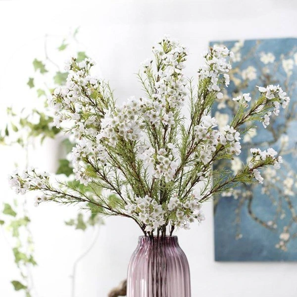 Hoa “lạ mắt” đổ bộ thị trường Tết: Từ tuyết mai đến đỗ quyên ngủ đông Hoa “lạ mắt” đổ bộ thị trường Tết: Từ tuyết mai đến đỗ quyên ngủ đông