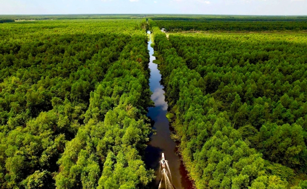 Giữ rừng, nuôi ong, giăng lưới: Chàng trai Cà Mau thu hàng trăm triệu đồng mỗi năm từ sản vật rừng tràm