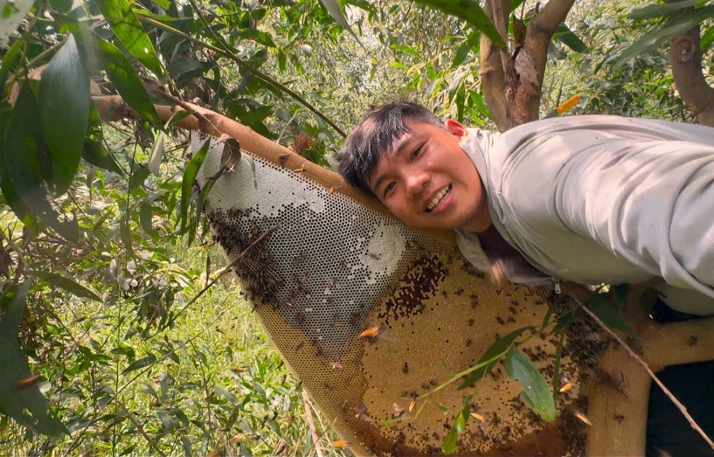 Giữ rừng, nuôi ong, giăng lưới: Chàng trai Cà Mau thu hàng trăm triệu đồng mỗi năm từ sản vật rừng tràm