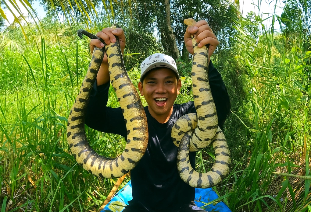 Giữ rừng, nuôi ong, giăng lưới: Chàng trai Cà Mau thu hàng trăm triệu đồng mỗi năm từ sản vật rừng tràm