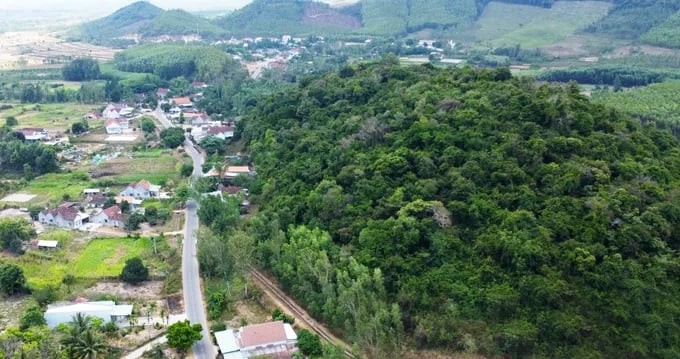 Khám phá rừng cổ thụ hàng trăm năm tuổi ẩn mình giữa núi rừng Gia Lai Khám phá rừng cổ thụ hàng trăm năm tuổi ẩn mình giữa núi rừng Gia Lai