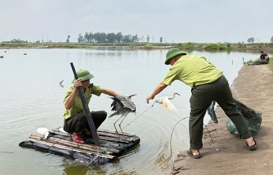 Phát hiện hàng loạt điểm bẫy chim, thu giữ gần 200 cá thể chim hoang dã sau hai tháng tuần tra