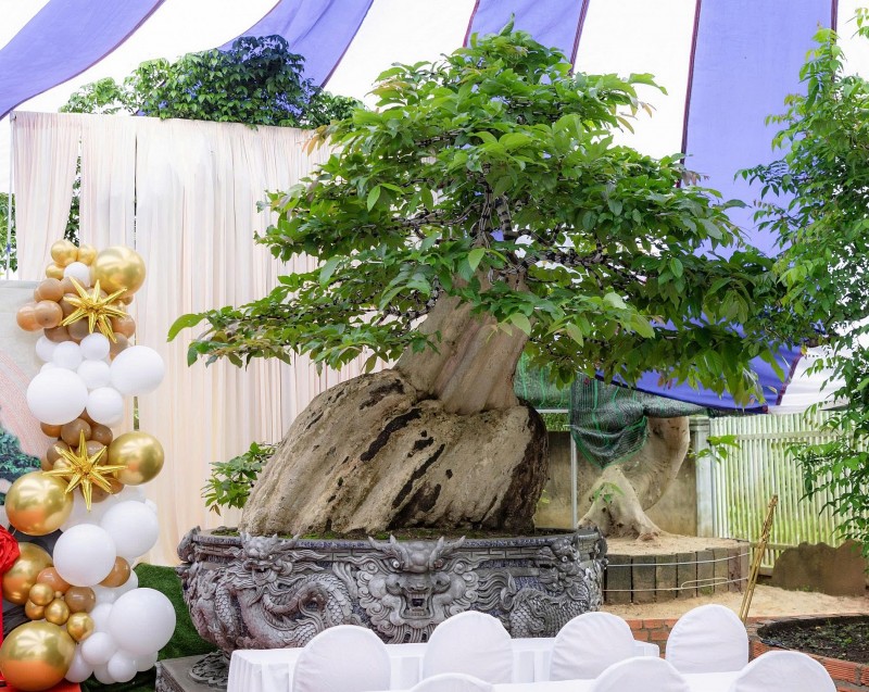 Tác phẩm bằng lăng nu của nghệ nhân Trần Văn Thọ đón nhận bằng Kỷ lục Việt Nam