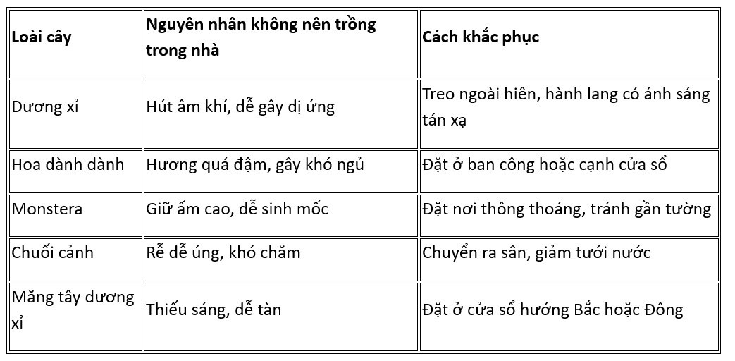 Nhà dương kỵ hoa âm: 5 loại cây đẹp nhưng dễ hao tài, nên để ngoài sân