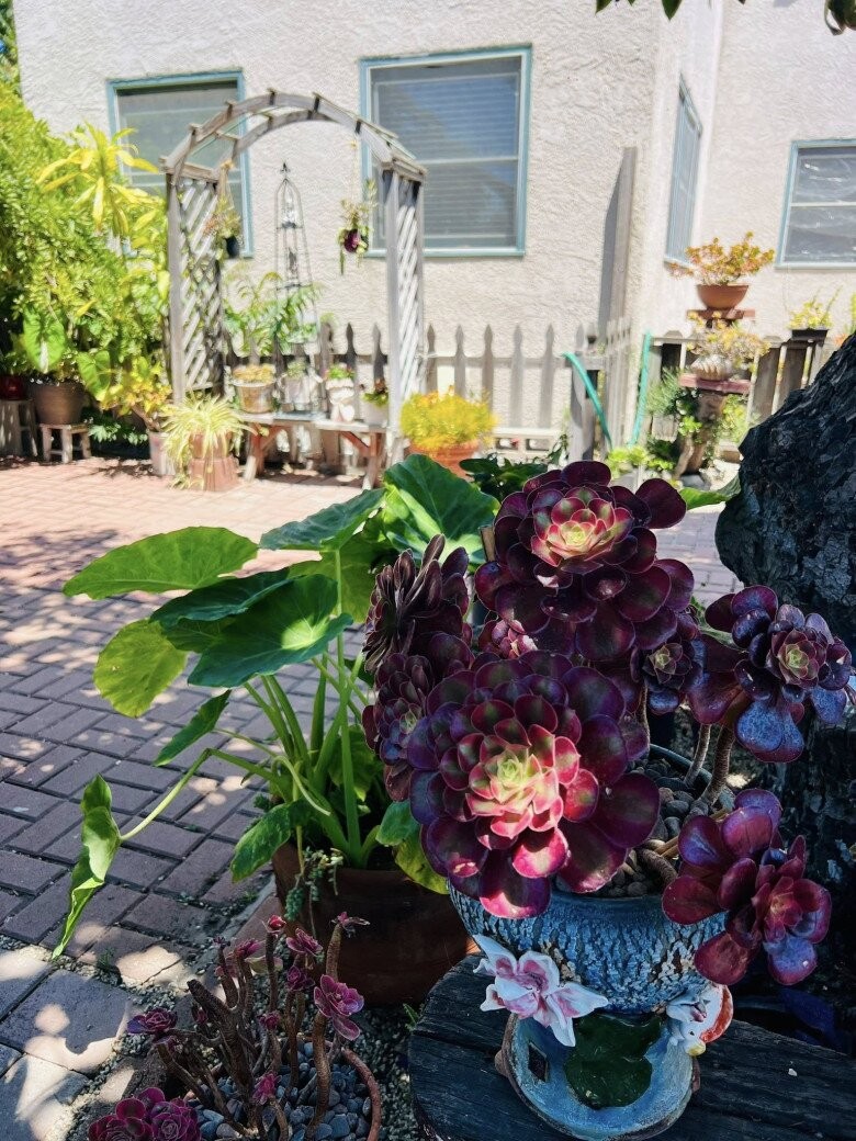 Biệt thự 30 tỷ của danh hài Thúy Nga với khu vườn xanh mát, ngập tràn hoa trái Biệt thự 30 tỷ của danh hài Thúy Nga với khu vườn xanh mát, ngập tràn hoa trái