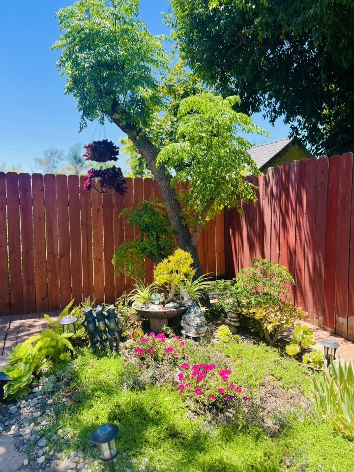 Biệt thự 30 tỷ của danh hài Thúy Nga với khu vườn xanh mát, ngập tràn hoa trái Biệt thự 30 tỷ của danh hài Thúy Nga với khu vườn xanh mát, ngập tràn hoa trái