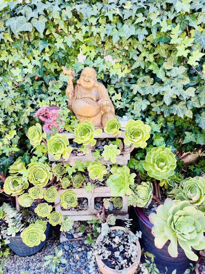 Biệt thự 30 tỷ của danh hài Thúy Nga với khu vườn xanh mát, ngập tràn hoa trái Biệt thự 30 tỷ của danh hài Thúy Nga với khu vườn xanh mát, ngập tràn hoa trái