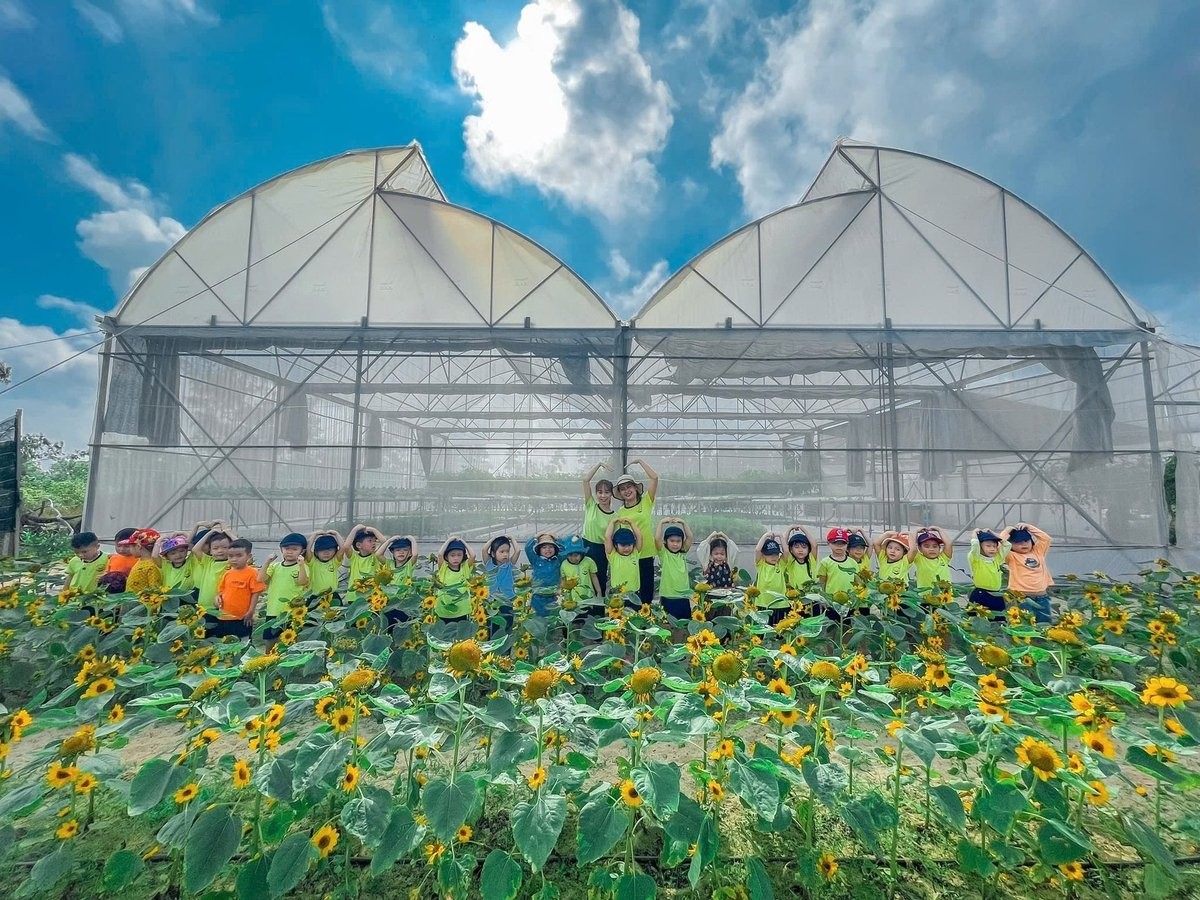 Nông nghiệp hữu cơ – “trái tim xanh” dẫn lối du lịch Đà Nẵng