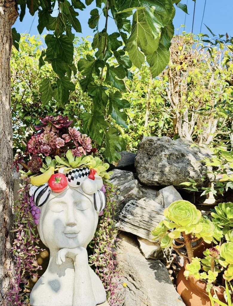 Biệt thự 30 tỷ của danh hài Thúy Nga với khu vườn xanh mát, ngập tràn hoa trái Biệt thự 30 tỷ của danh hài Thúy Nga với khu vườn xanh mát, ngập tràn hoa trái