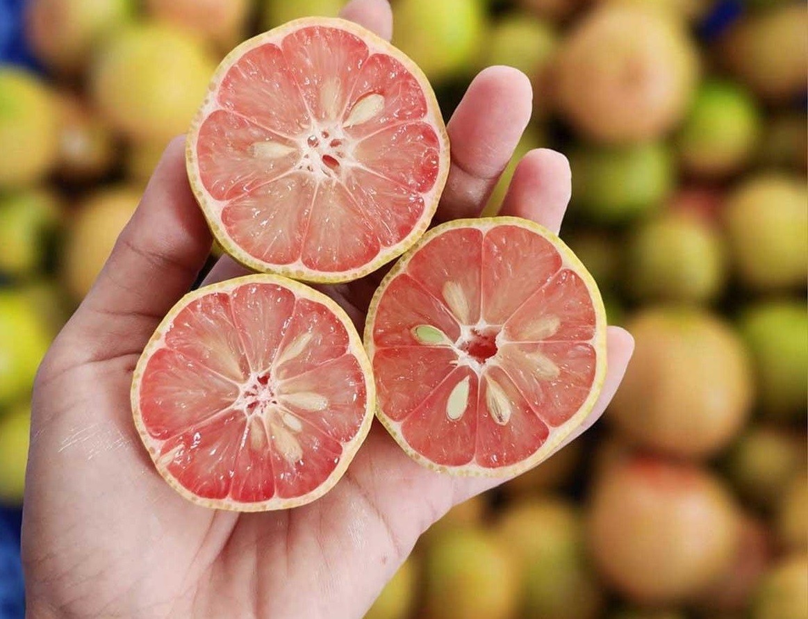 Loại quả từng bị bỏ quên nay trở thành đặc sản được săn lùng nhờ hương vị và lợi ích cho sức khỏe