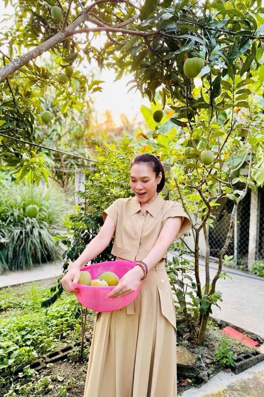 Mỹ Tâm, Nguyễn Phi Hùng và loạt sao Việt tìm bình yên trong nhà vườn hàng nghìn mét vuông