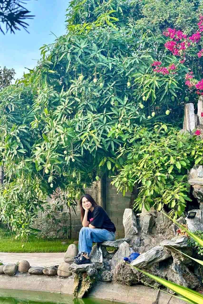 Mỹ Tâm, Nguyễn Phi Hùng và loạt sao Việt tìm bình yên trong nhà vườn hàng nghìn mét vuông
