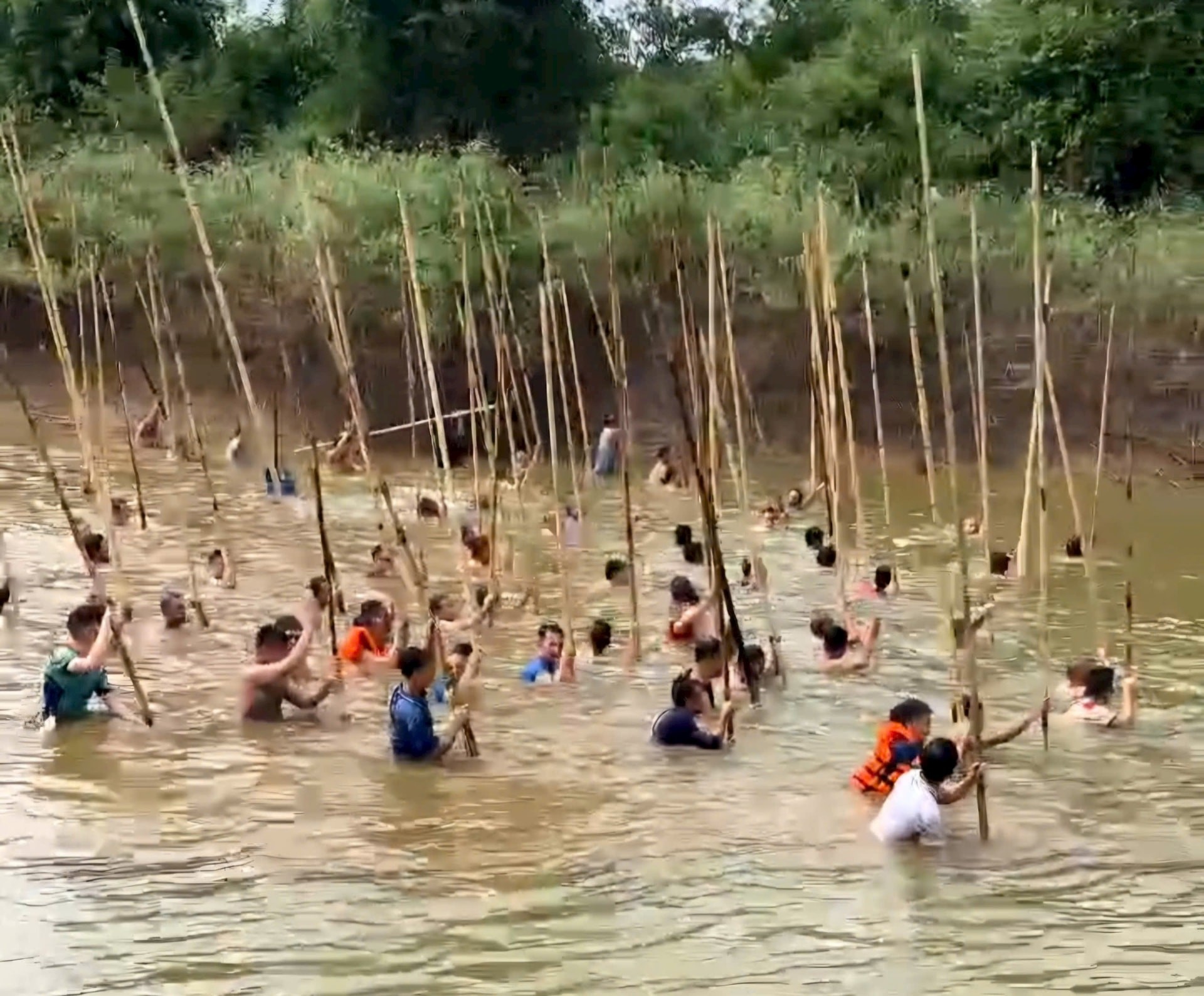 Dập sào bắt cá – phong tục độc đáo níu hồn quê Tích Giang Dập sào bắt cá – phong tục độc đáo níu hồn quê Tích Giang