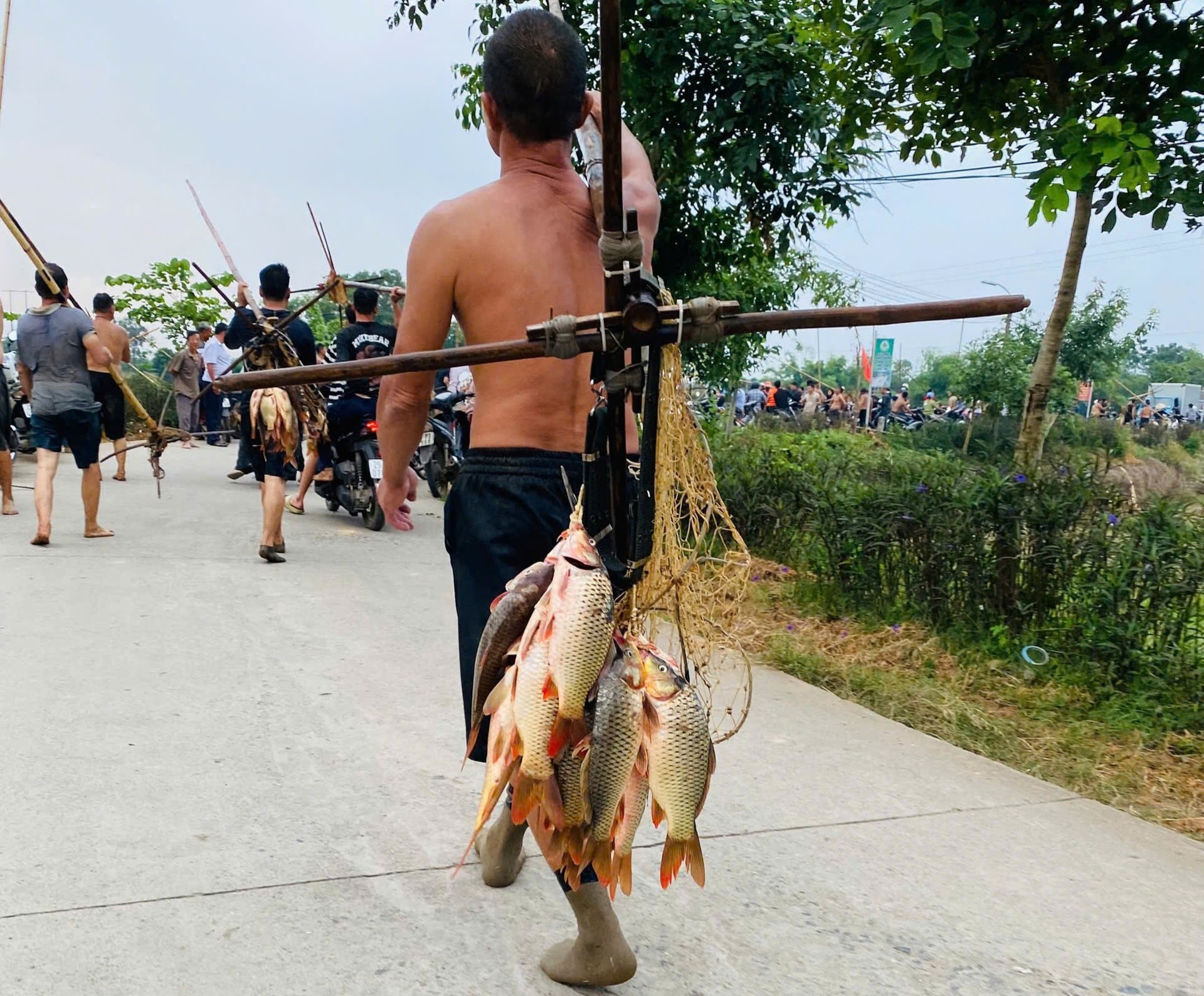 Dập sào bắt cá – phong tục độc đáo níu hồn quê Tích Giang Dập sào bắt cá – phong tục độc đáo níu hồn quê Tích Giang