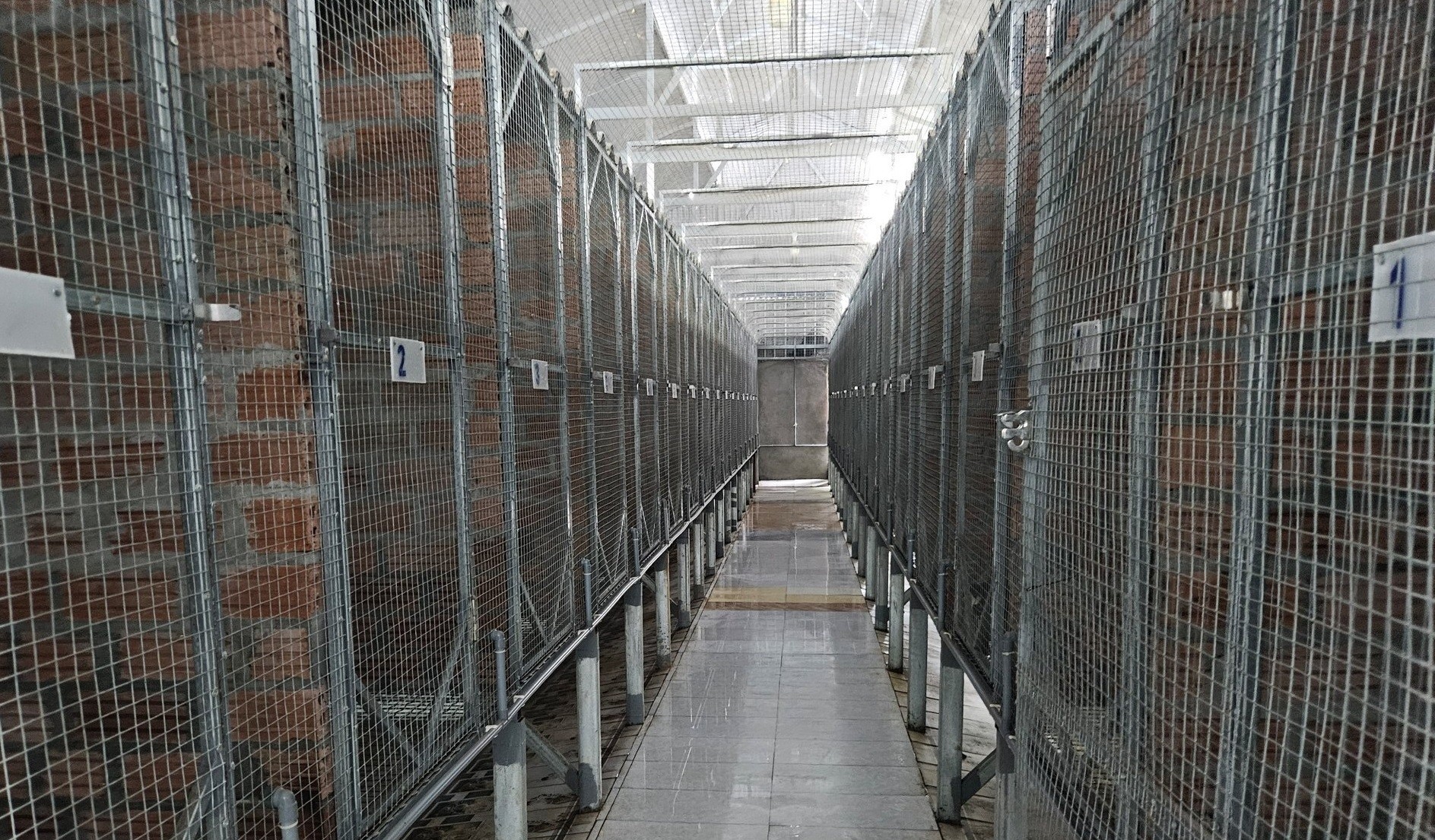 Ông chủ trang trại chồn hoa quả lớn nhất Hải Phòng thu 4 tỷ đồng chỉ sau một năm khởi nghiệp Ông chủ trang trại chồn hoa quả lớn nhất Hải Phòng thu 4 tỷ đồng chỉ sau một năm khởi nghiệp