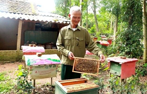 Nghề nuôi ong Nghĩa Đồng, Nghệ An: Từ tự phát đến xây dựng thương hiệu OCOP