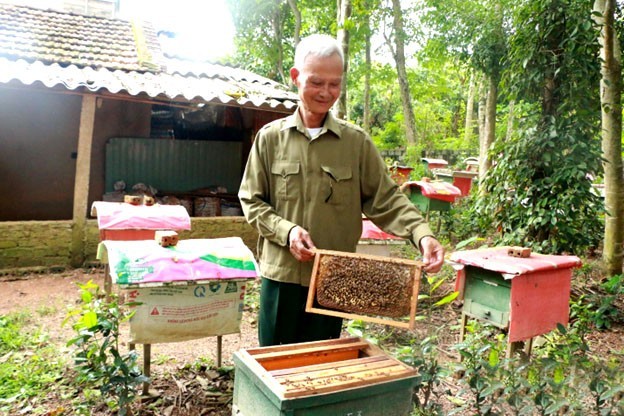 Nghề nuôi ong Nghĩa Đồng, Nghệ An: Từ tự phát đến xây dựng thương hiệu OCOP Nghề nuôi ong Nghĩa Đồng, Nghệ An: Từ tự phát đến xây dựng thương hiệu OCOP