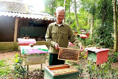 Nghề nuôi ong Nghĩa Đồng, Nghệ An: Từ tự phát đến xây dựng thương hiệu OCOP