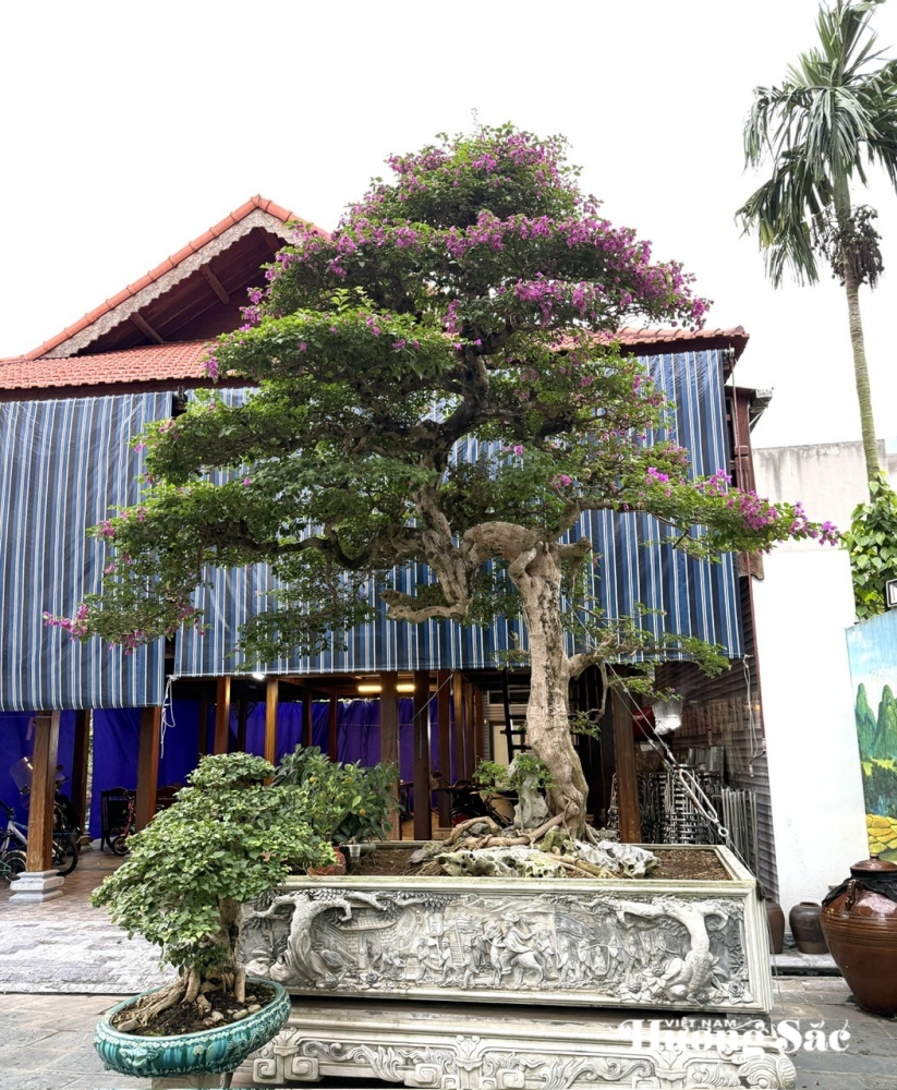 Nhà vườn Quân Dân: Ươm mầm đam mê, xanh mãi một vùng quê Hải Phòng Nhà vườn Quân Dân: Ươm mầm đam mê, xanh mãi một vùng quê Hải Phòng