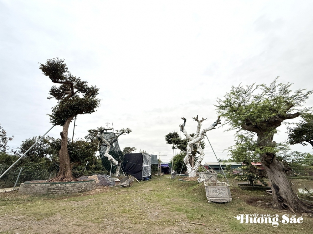 Nhà vườn Quân Dân: Ươm mầm đam mê, xanh mãi một vùng quê Hải Phòng Nhà vườn Quân Dân: Ươm mầm đam mê, xanh mãi một vùng quê Hải Phòng